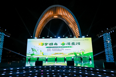 2025“逐梦图南 春漫蕉河”暨广州文艺志愿者“送欢乐走进南沙街道”活动